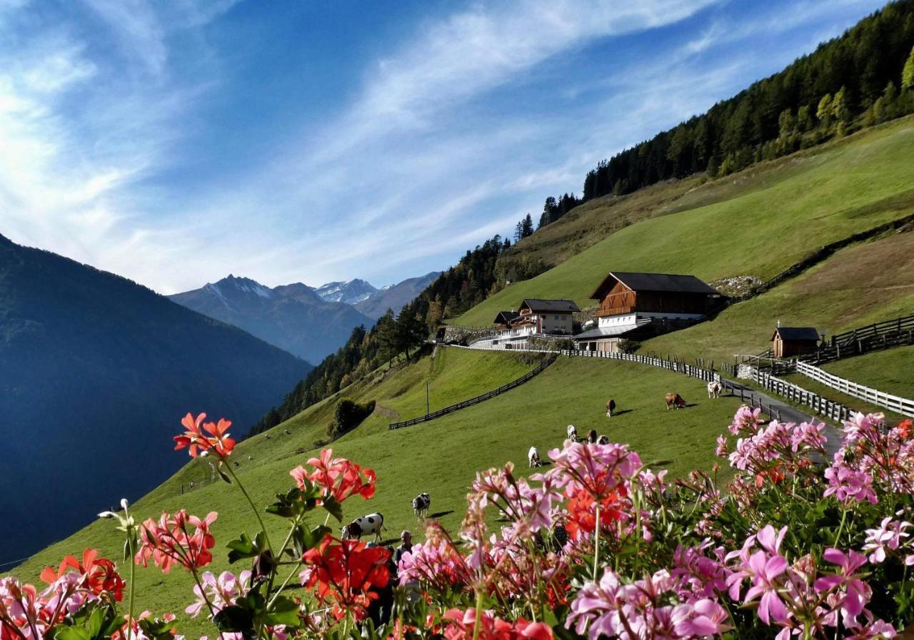 Roanerhof Apart otel Campo Tures Dış mekan fotoğraf